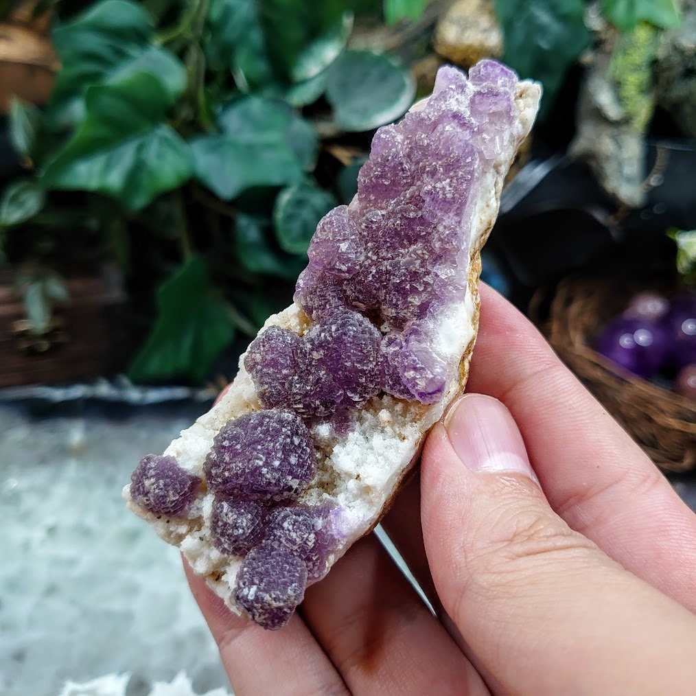 Purple Fluorite Cluster From La Navidad Mine, Mexico for Altar Decor / 118.19g / Small Cabinet Class / Collection