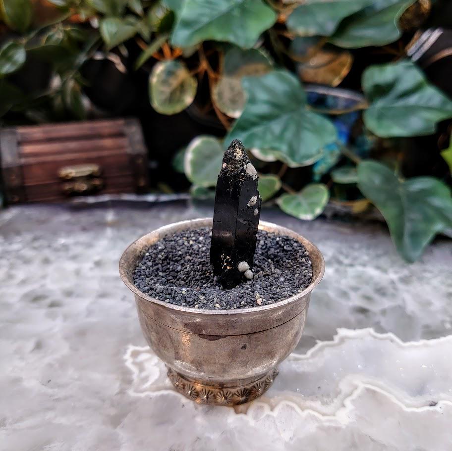 1.75" Glossy Black Aegirine Crystal Rod with Feldspar from Malawi, Africa for Crystal Healing / 9.74g / Home & Altar Decor