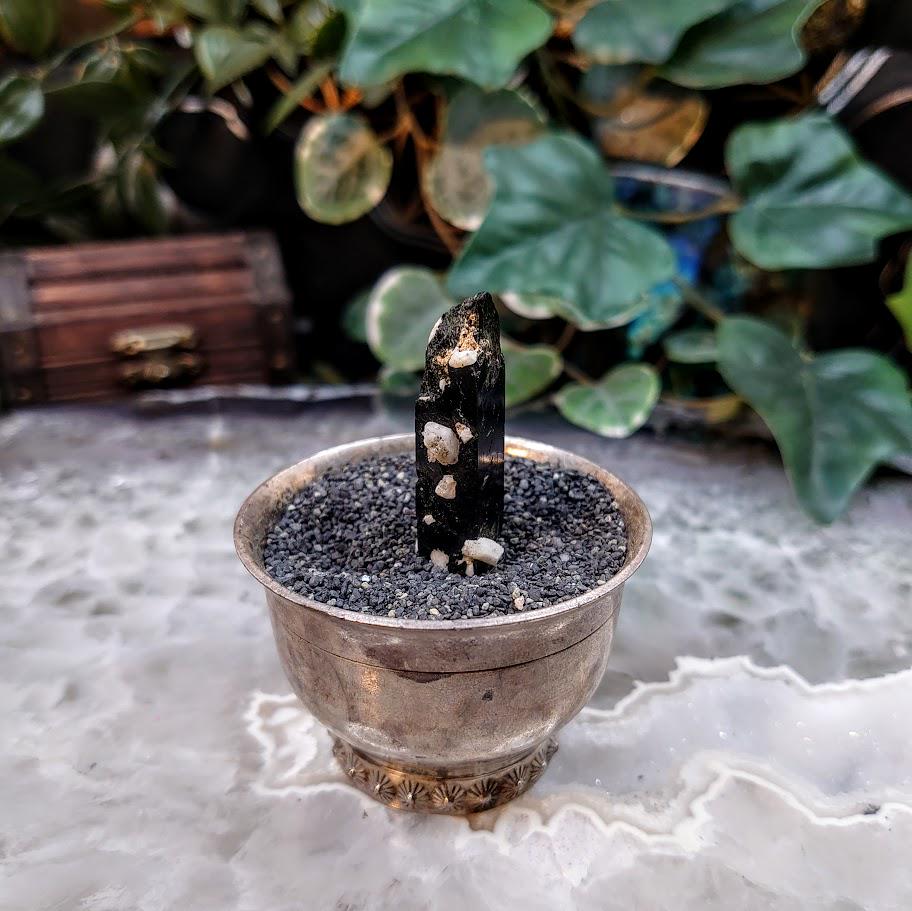 1.75" Glossy Black Aegirine Crystal Rod with Feldspar from Malawi, Africa for Crystal Healing / 9.74g / Home & Altar Decor