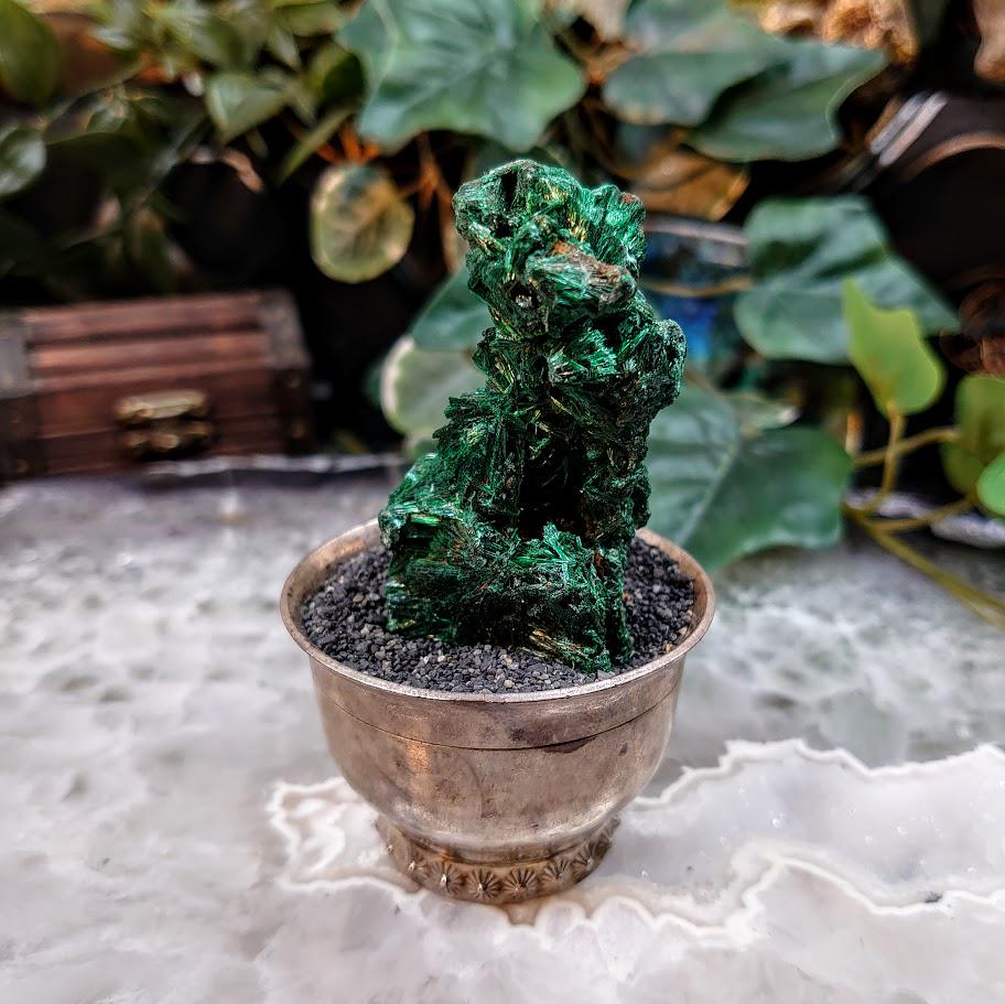 Silky Fibrous Malachite Specimen from Kasompe, Congo for Home and Altar Decor / 71.67g / Collection / Crystal Healing