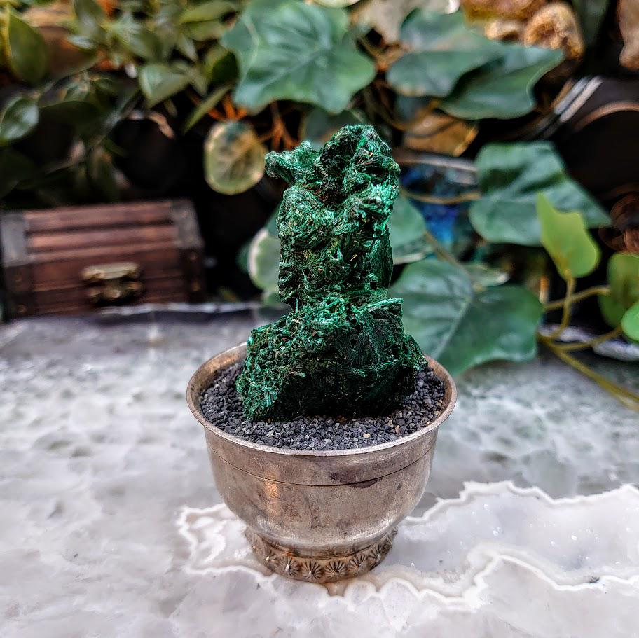 Silky Fibrous Malachite Specimen from Kasompe, Congo for Home and Altar Decor / 71.67g / Collection / Crystal Healing