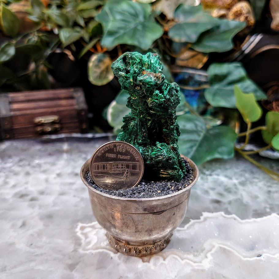 Silky Fibrous Malachite Specimen from Kasompe, Congo for Home and Altar Decor / 71.67g / Collection / Crystal Healing