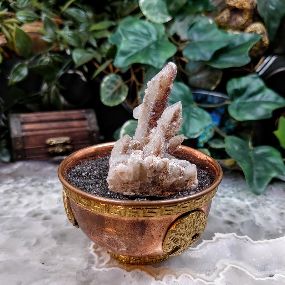 2.5" Witch Finger Quartz Cluster from Boekenhouthoek, Mpumalanga, South Africa for Home and Altar Decor / 69.52g / Reiki / Collection