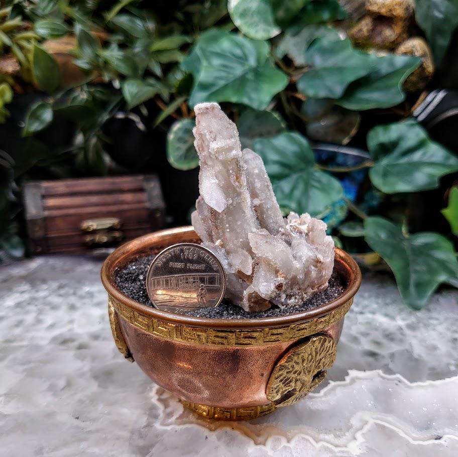 2.5" Witch Finger Quartz Cluster from Boekenhouthoek, Mpumalanga, South Africa for Home and Altar Decor / 69.52g / Reiki / Collection