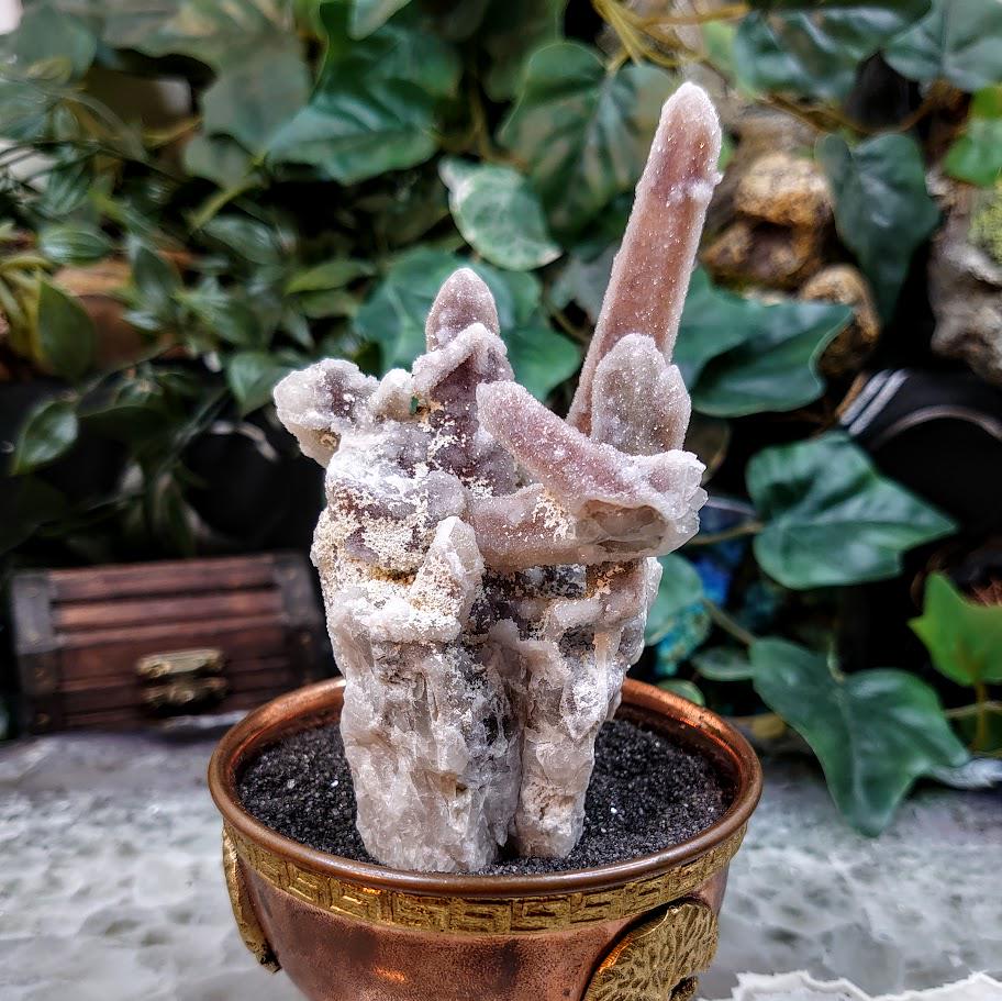 4.75" Witch Finger Quartz Cluster from Boekenhouthoek, Mpumalanga, South Africa for Home and Altar Decor / 194g / Reiki / Collection
