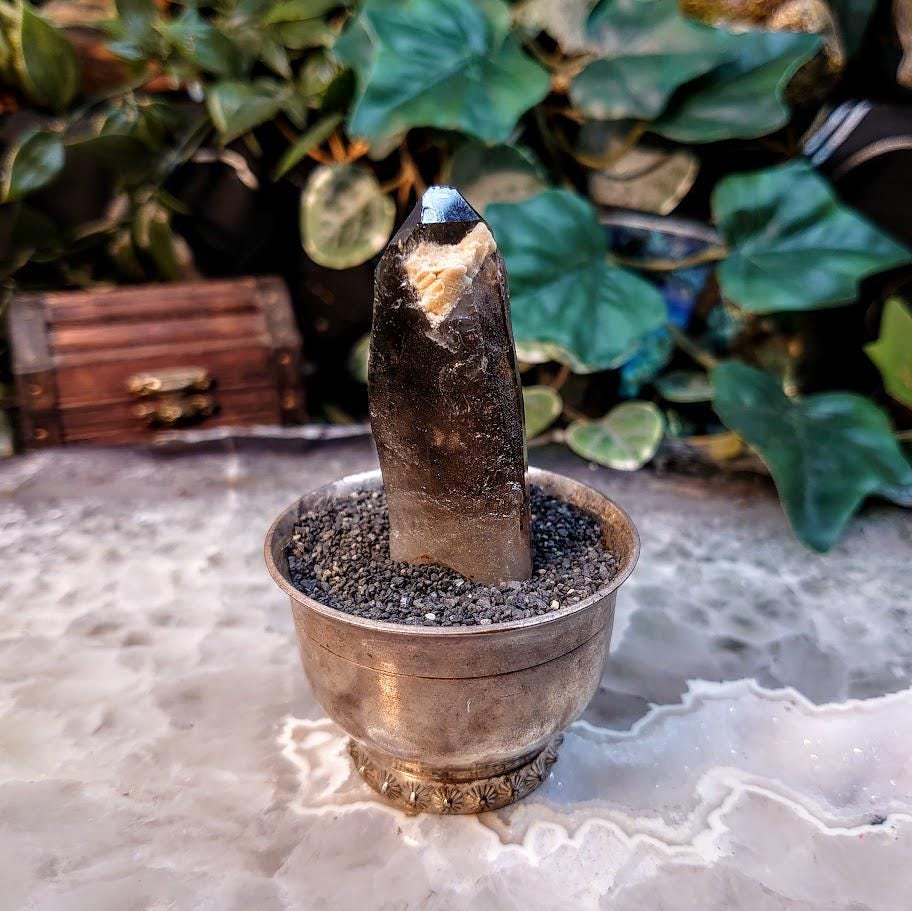 2.5" Natural Smoky Quartz Point with Aegirine and Orthoclase Inclusions from Malawi, Africa for Collection / 32.34g / Home and Altar Decor