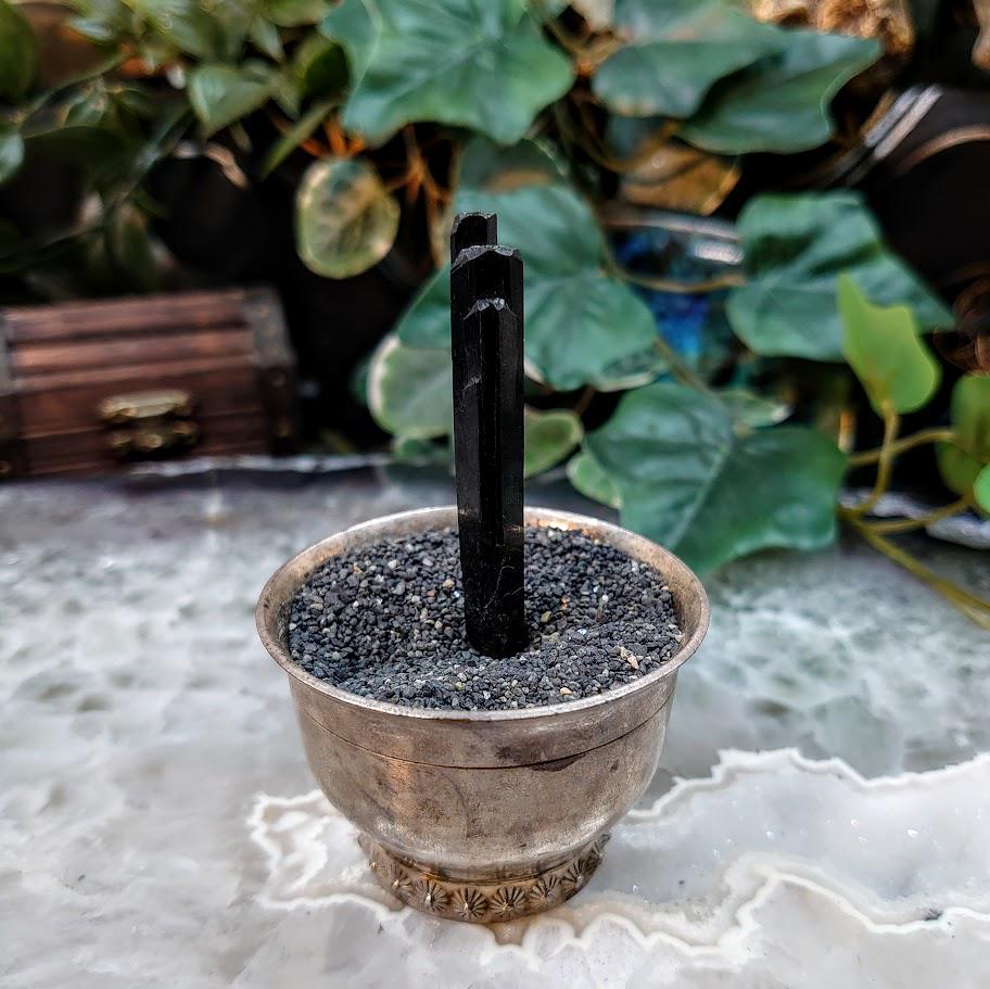 2.5" Glossy Black Aegirine Crystal Rod from Malawi, Africa for Crystal Healing / 5.49g / Home and Altar Decor / Negative Protection