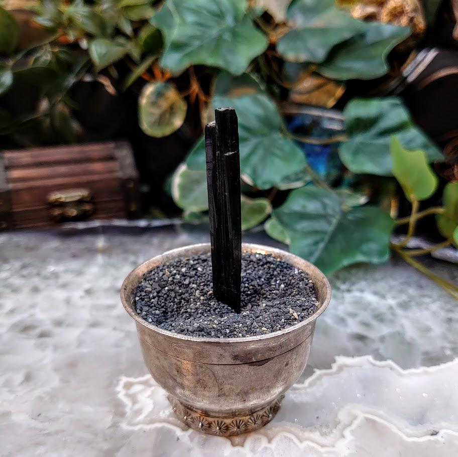 2.5" Glossy Black Aegirine Crystal Rod from Malawi, Africa for Crystal Healing / 5.49g / Home and Altar Decor / Negative Protection