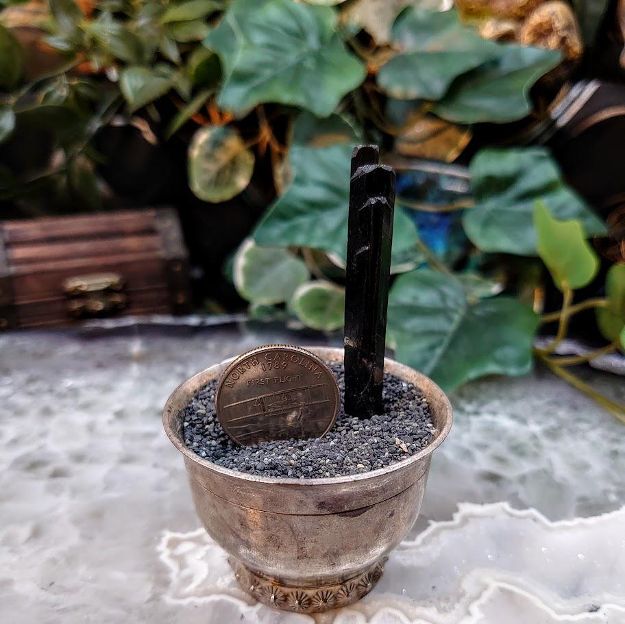 2.5" Glossy Black Aegirine Crystal Rod from Malawi, Africa for Crystal Healing / 5.49g / Home and Altar Decor / Negative Protection