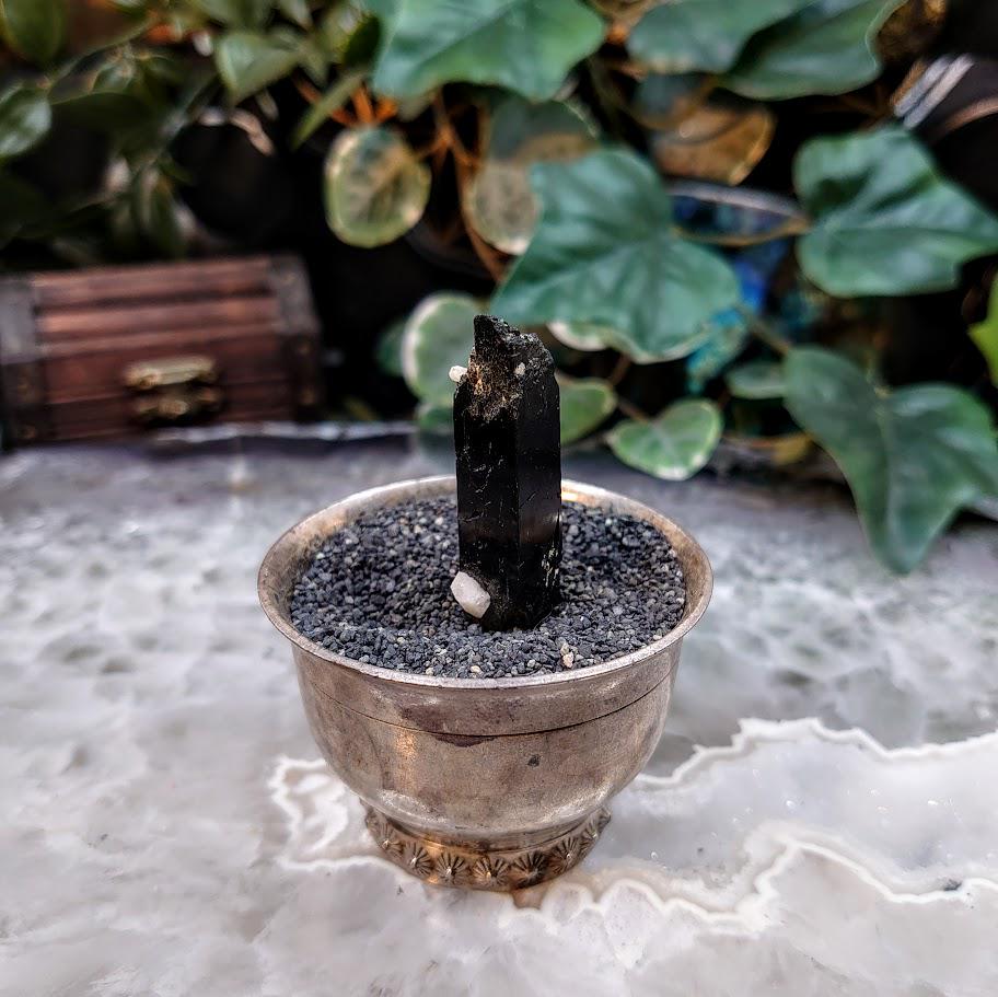 1.75" Glossy Black Aegirine Crystal Rod with Feldspar from Malawi, Africa for Crystal Healing / 9.74g / Home & Altar Decor