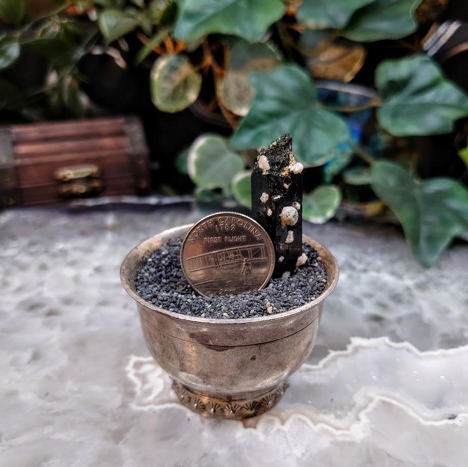 1.75" Glossy Black Aegirine Crystal Rod with Feldspar from Malawi, Africa for Crystal Healing / 9.74g / Home & Altar Decor