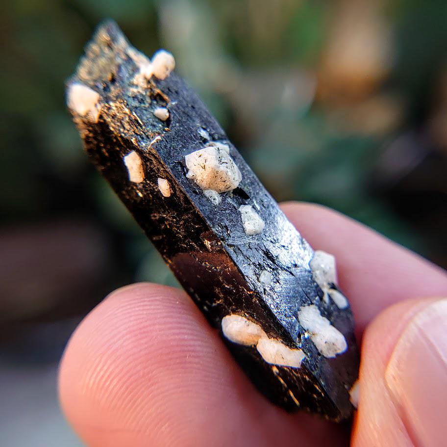 1.75" Glossy Black Aegirine Crystal Rod with Feldspar from Malawi, Africa for Crystal Healing / 9.74g / Home & Altar Decor