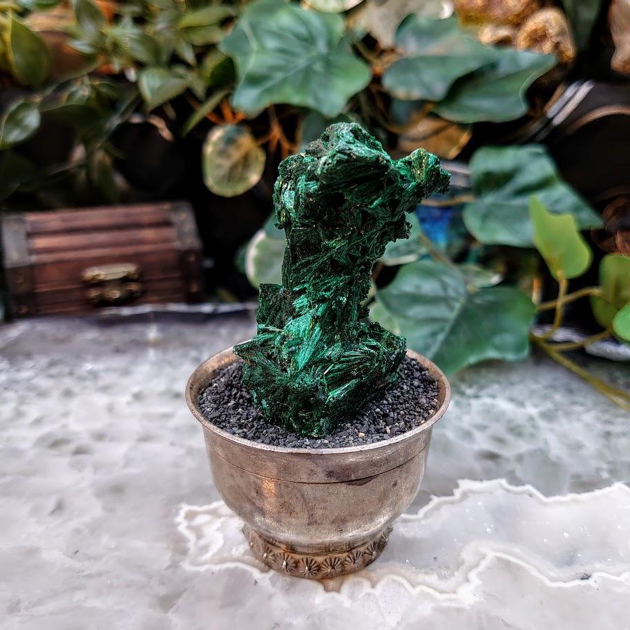 Silky Fibrous Malachite Specimen from Kasompe, Congo for Home and Altar Decor / 71.67g / Collection / Crystal Healing