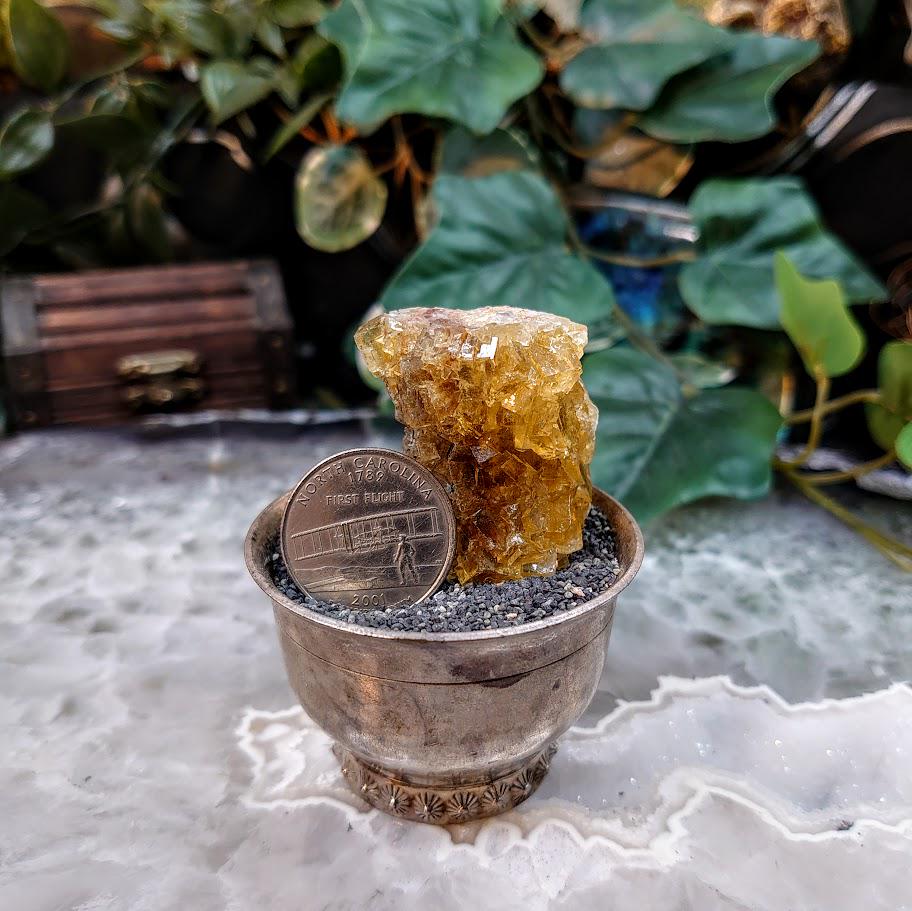 Golden Yellow Fluorite Cluster from Moscona Mine, Spain for Collection / 58.54g / Energy Work / Altar Decor / Meditation /