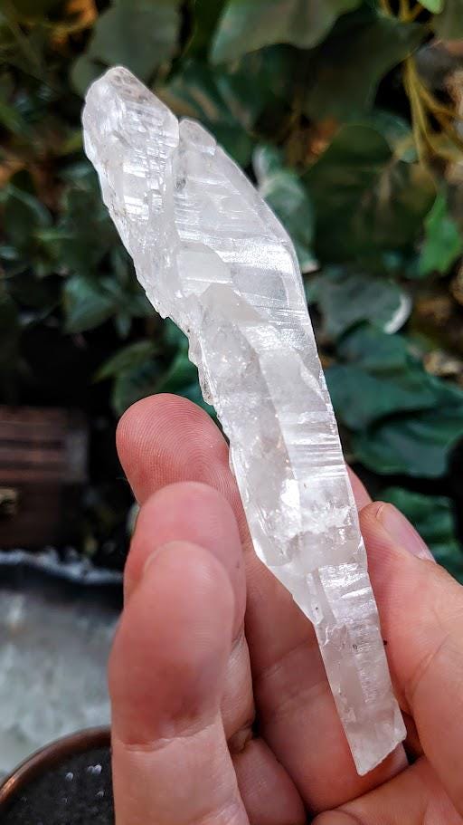 4.75" Elestial Clear Quartz Scepter Cluster from Minas Gerais, Brazil for Crystal Healing / 118.24g / Meditation / Altar Decor