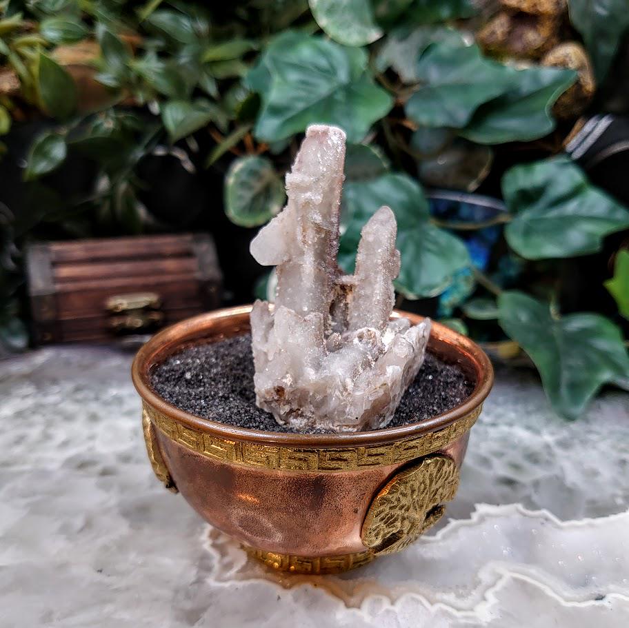 2.5" Witch Finger Quartz Cluster from Boekenhouthoek, Mpumalanga, South Africa for Home and Altar Decor / 69.52g / Reiki / Collection