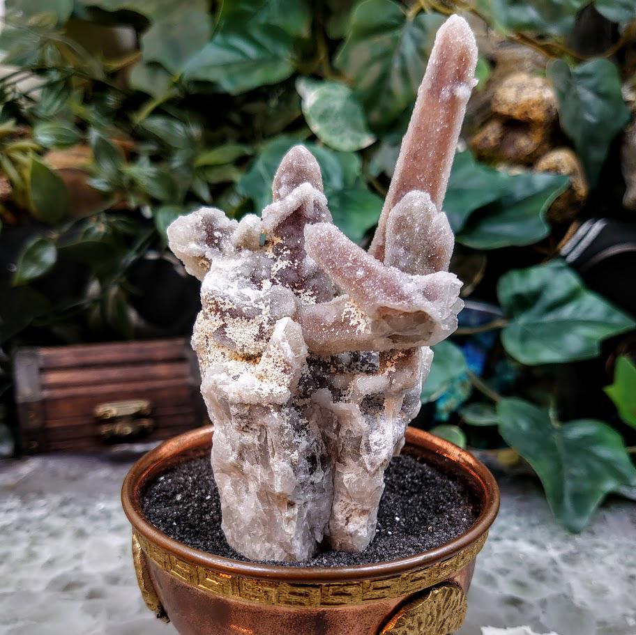 4.75" Witch Finger Quartz Cluster from Boekenhouthoek, Mpumalanga, South Africa for Home and Altar Decor / 194g / Reiki / Collection