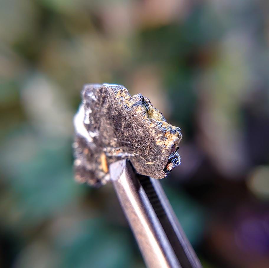 9.05ct Hematite Blade with Exposed Golden Rutile from Novo Horizonte, Bahia, Brazil / Thumbnail Size / Collection / Whaaaaaat?!