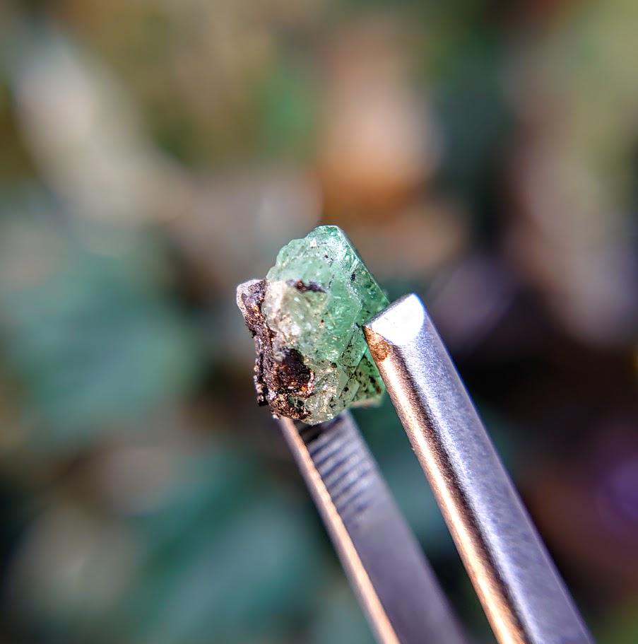 5.00ct Tsavorite Garnet Gemstone from Merelani Hills, Tanzania / Thumbnail Size / Plastic Perky Box / Collection / Emerald Green / Grossular
