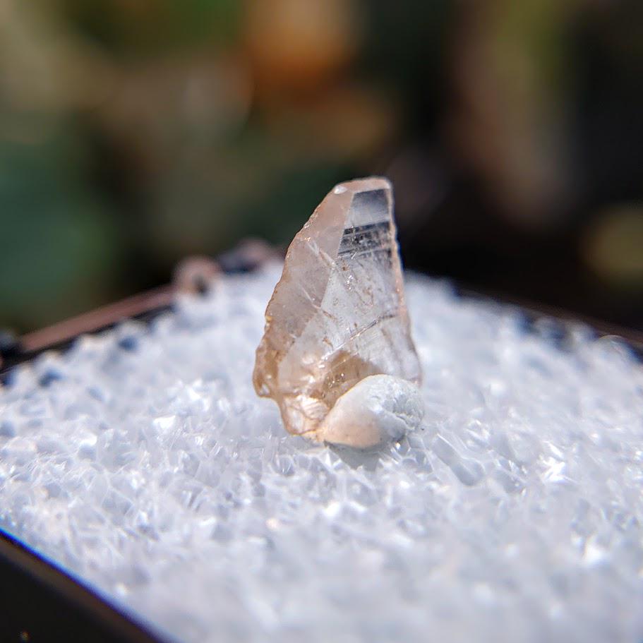 1.35ct Magnesio Axinite Gemstone Crystal from Merelani Hills, Tanzania for Unique Collection / Rare Specimen / Small Sized