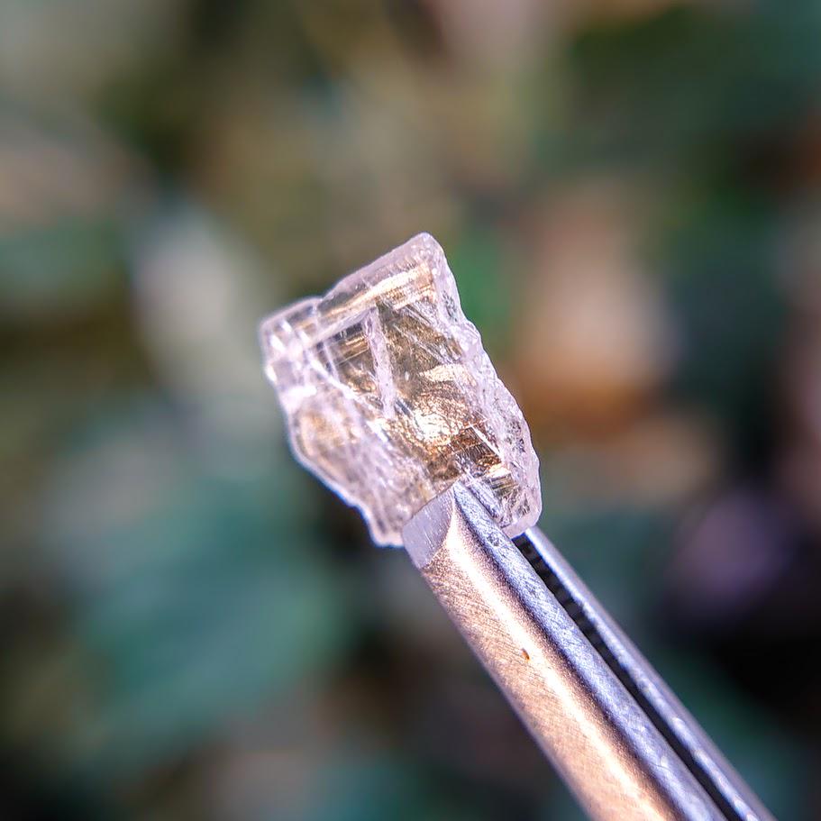 1.65ct Magnesio Axinite Gemstone Crystal from Merelani Hills, Tanzania for Unique Collection / Rare Specimen / Small Sized