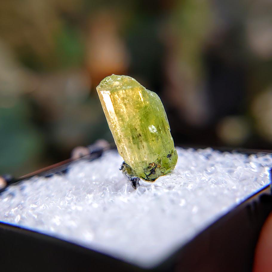 6.25ct Natural Diopside Gemstone from Manyara Region, Tanzania for Crystal Healing / Meditation / Thumbnail Size / Collection / Green Jewel