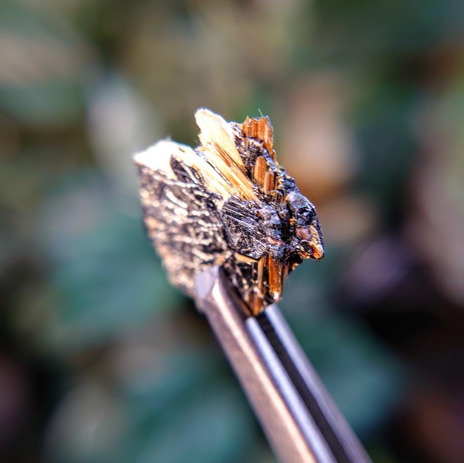 8.40ct Hematite Blade with Exposed Golden Rutile from Novo Horizonte, Bahia, Brazil / Thumbnail Size / Collection / Whaaaaaat?!