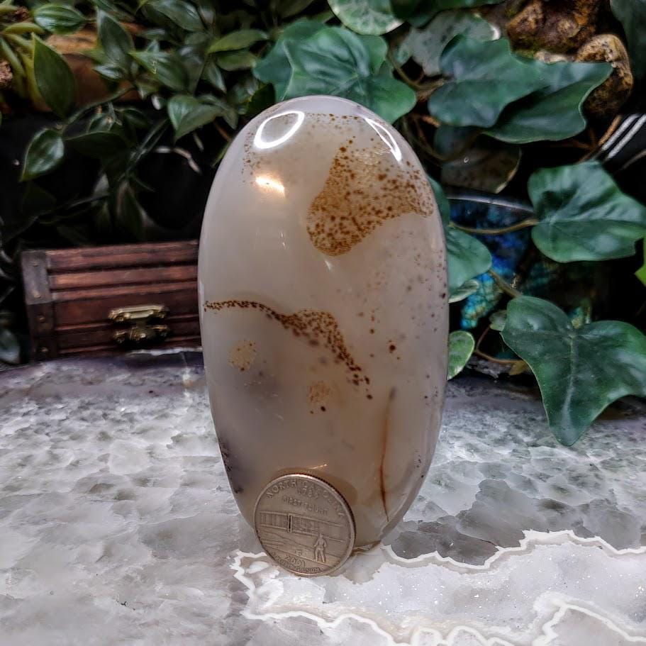 4" Dendritic Agate Self Standing Free Form from Madagascar for Crystal Healing / Reiki / Meditation / 264g / Home and Altar Decoration