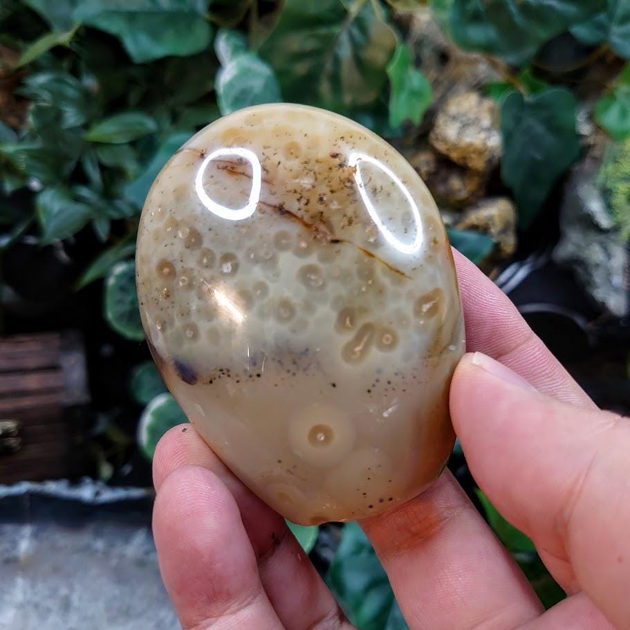 2.75" Dendritic Agate Self Standing Free Form from Madagascar for Crystal Healing / Reiki / Meditation / 264g / Home and Altar Decoration