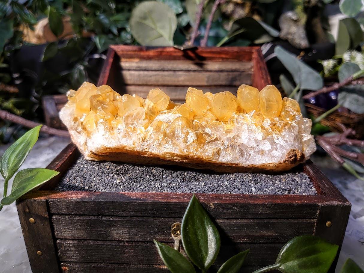 Natural Limonite Golden Healer Cluster from Zambia, Africa for Crystal Healing / 198g / Reiki / Home Decor / Cabinet Size