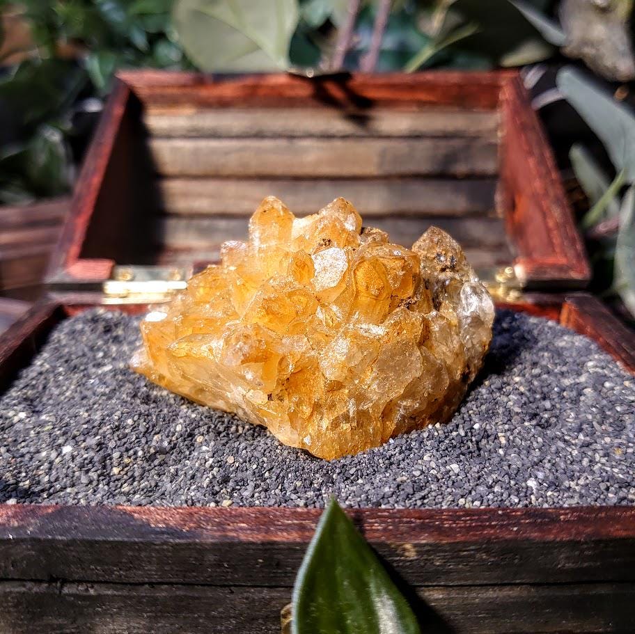 Natural Limonite Golden Healer Cluster from Zambia, Africa for Crystal Healing / 102.82g / Reiki / Home Decor / Cabinet Size