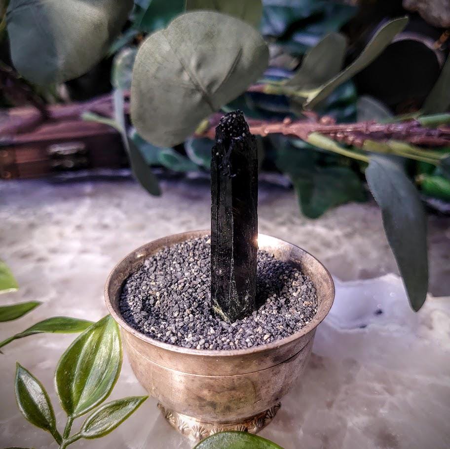 2" Glossy Black Aegirine Crystal Rod from Malawi, Africa for Crystal Healing / 16.37g / Home and Altar Decor / Negative Protection