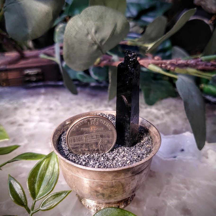 2" Glossy Black Aegirine Crystal Rod from Malawi, Africa for Crystal Healing / 16.37g / Home and Altar Decor / Negative Protection