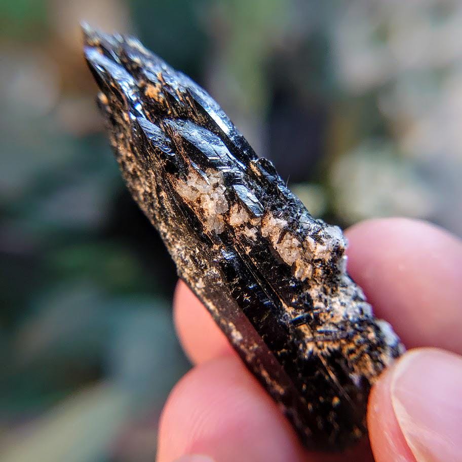 1.875" Glossy Black Aegirine Crystal Rod from Malawi, Africa for Crystal Healing / 11.11g / Home & Altar Decor