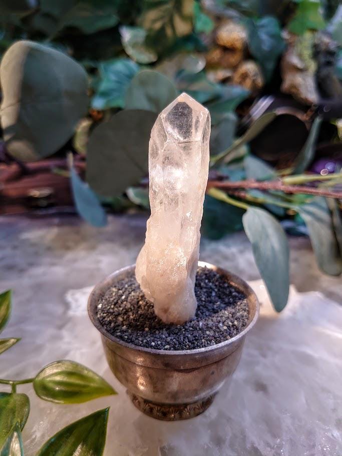 3" Congo Lemurian Clear Quartz Point from DRC for Crystal Healing / 36.50g / Meditation / Collection