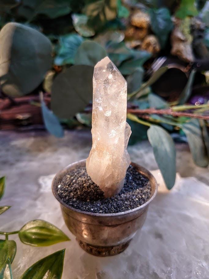 3" Congo Lemurian Clear Quartz Point from DRC for Crystal Healing / 36.50g / Meditation / Collection