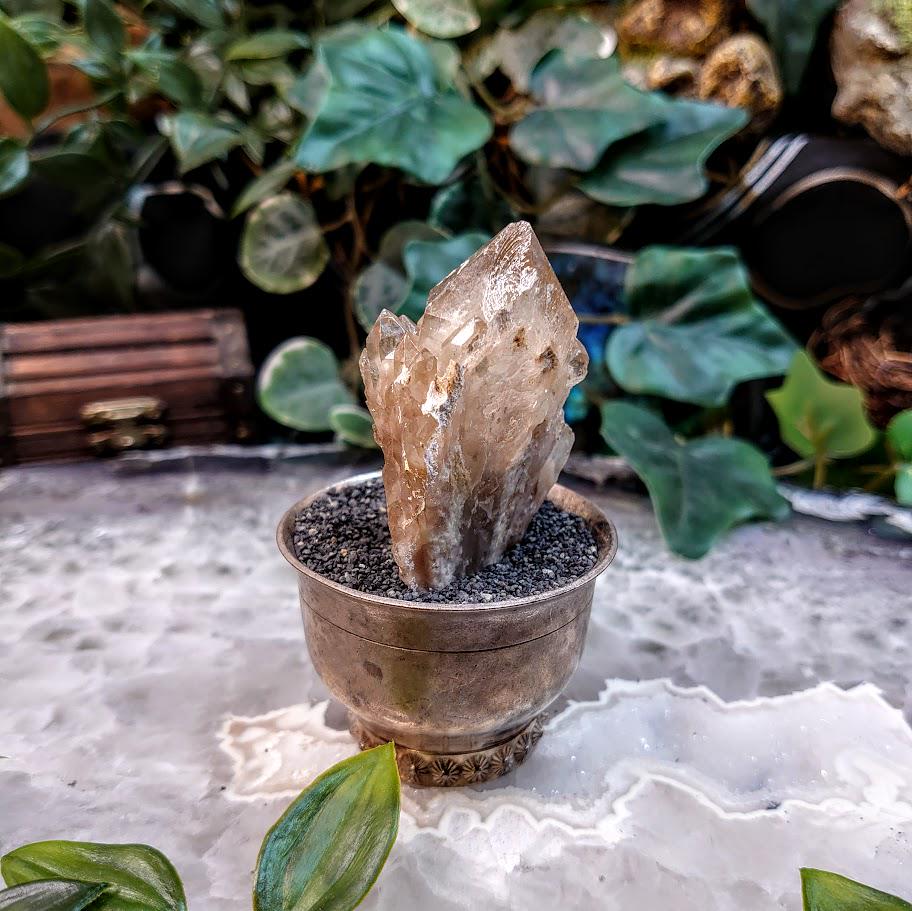 Natural Kundalini Congo Citrine Cluster for Altar and Home Decor / 59.39g / Energy Work / Crystal Healing / Reiki