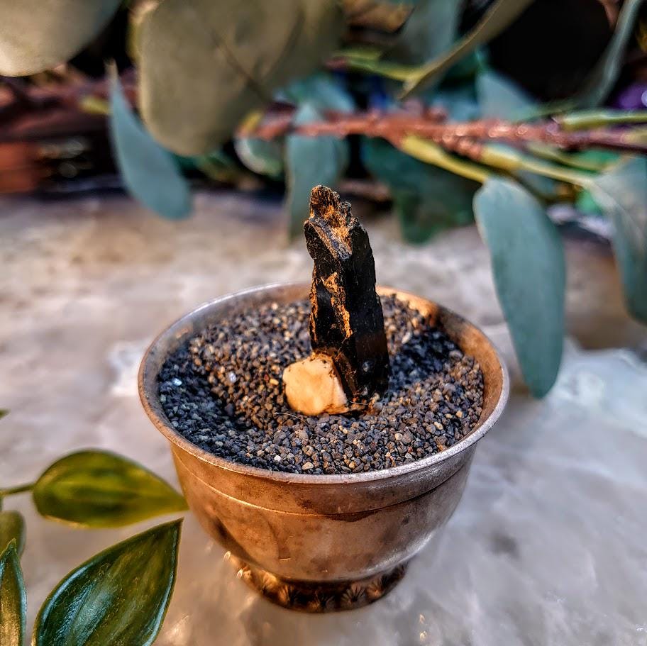 1.5" Glossy Black Aegirine Crystal from Malawi, Africa for Crystal Healing / 5.58g / Home & Altar Decor