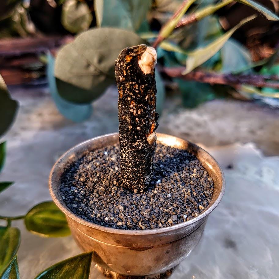 2" Glossy Black Aegirine Crystal Rod from Malawi, Africa for Crystal Healing / 9.52g / Home and Altar Decor / Negative Protection