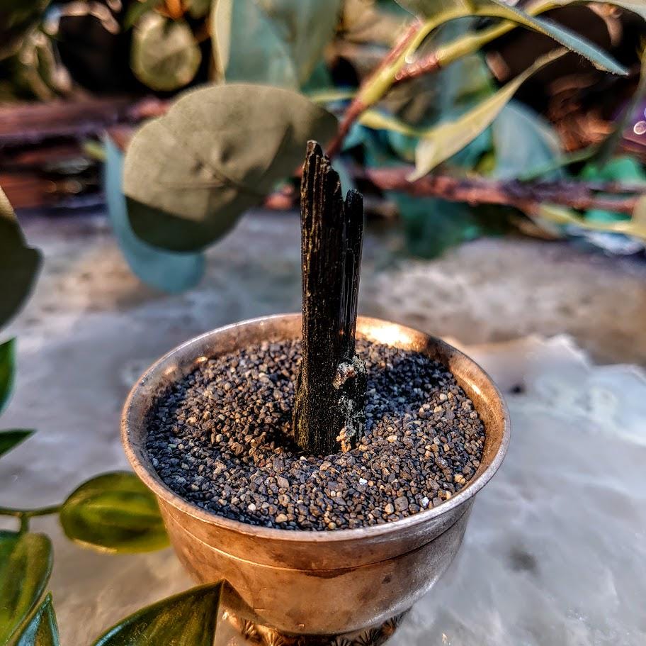 2" Glossy Black Aegirine Crystal Rod from Malawi, Africa for Crystal Healing / 9.13g / Home and Altar Decor / Negative Protection
