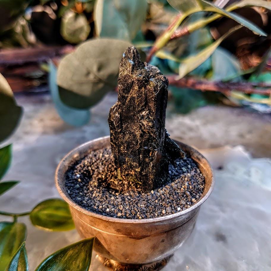 2.25" Glossy Black Aegirine Crystal Rod from Malawi, Africa for Crystal Healing / 23.40g / Home and Altar Decor / Negative Protection