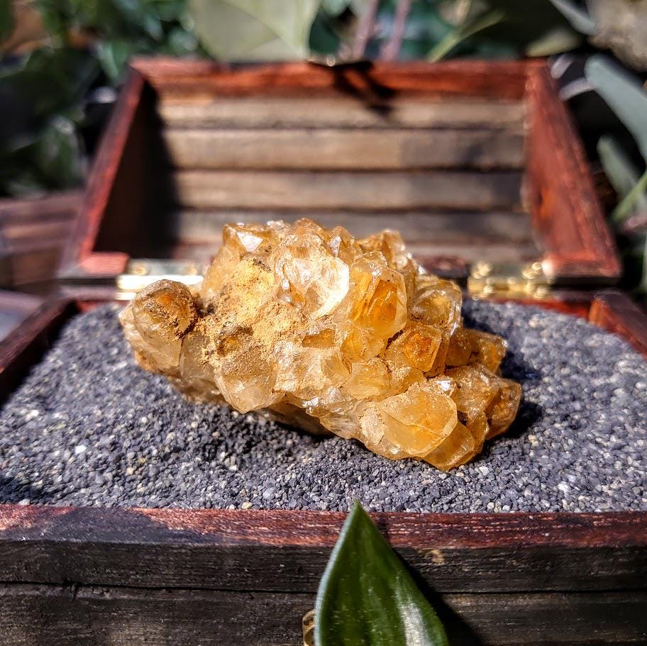 Natural Limonite Golden Healer Cluster from Zambia, Africa for Crystal Healing / 102.82g / Reiki / Home Decor / Cabinet Size