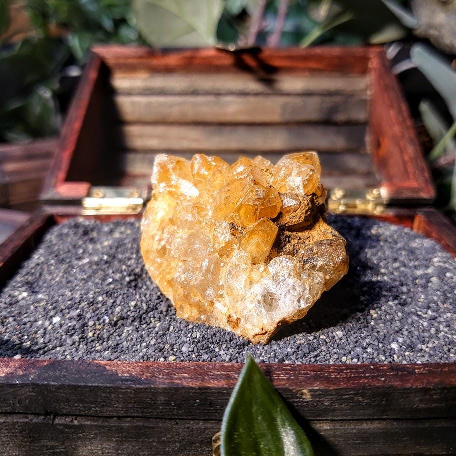 Natural Limonite Golden Healer Cluster from Zambia, Africa for Crystal Healing / 102.82g / Reiki / Home Decor / Cabinet Size