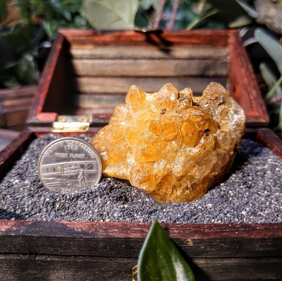 Natural Limonite Golden Healer Cluster from Zambia, Africa for Crystal Healing / 102.82g / Reiki / Home Decor / Cabinet Size
