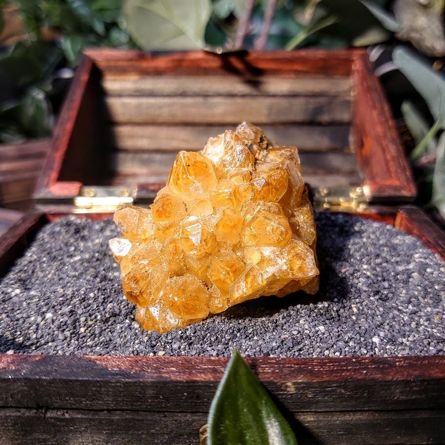 Natural Limonite Golden Healer Cluster from Zambia, Africa for Crystal Healing / 102.82g / Reiki / Home Decor / Cabinet Size