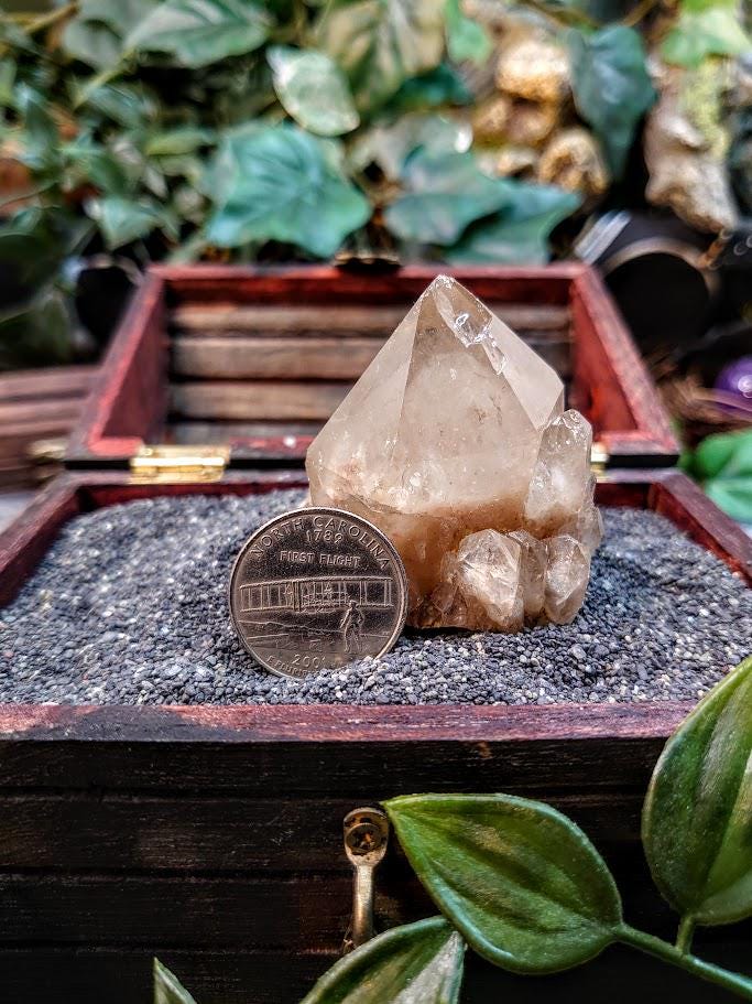 Natural Kundalini Congo Pale Citrine Cluster for Altar and Home Decor / 98.37g / Energy Work / Crystal Healing / Reiki