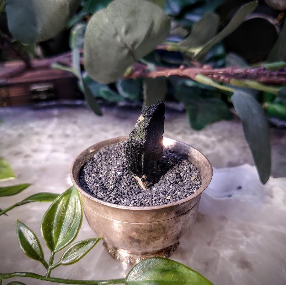 1.5" Glossy Black Aegirine Crystal from Malawi, Africa for Crystal Healing / 9.46g / Home & Altar Decor