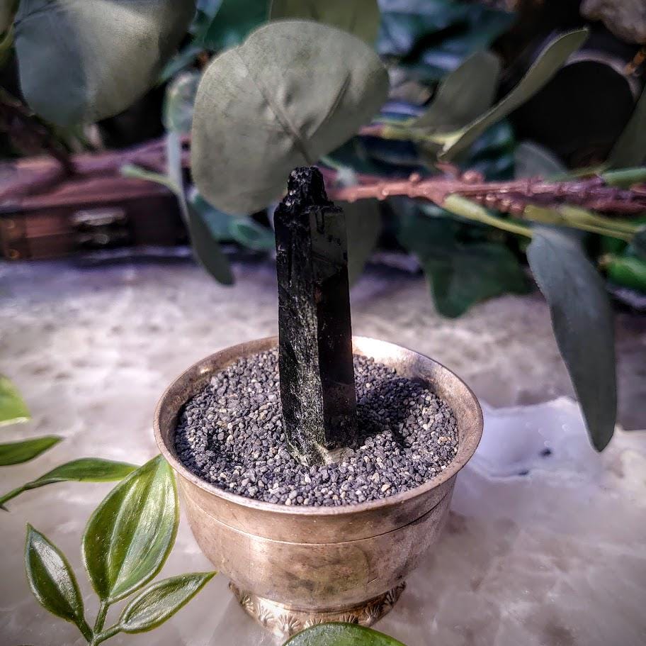 2" Glossy Black Aegirine Crystal Rod from Malawi, Africa for Crystal Healing / 16.37g / Home and Altar Decor / Negative Protection