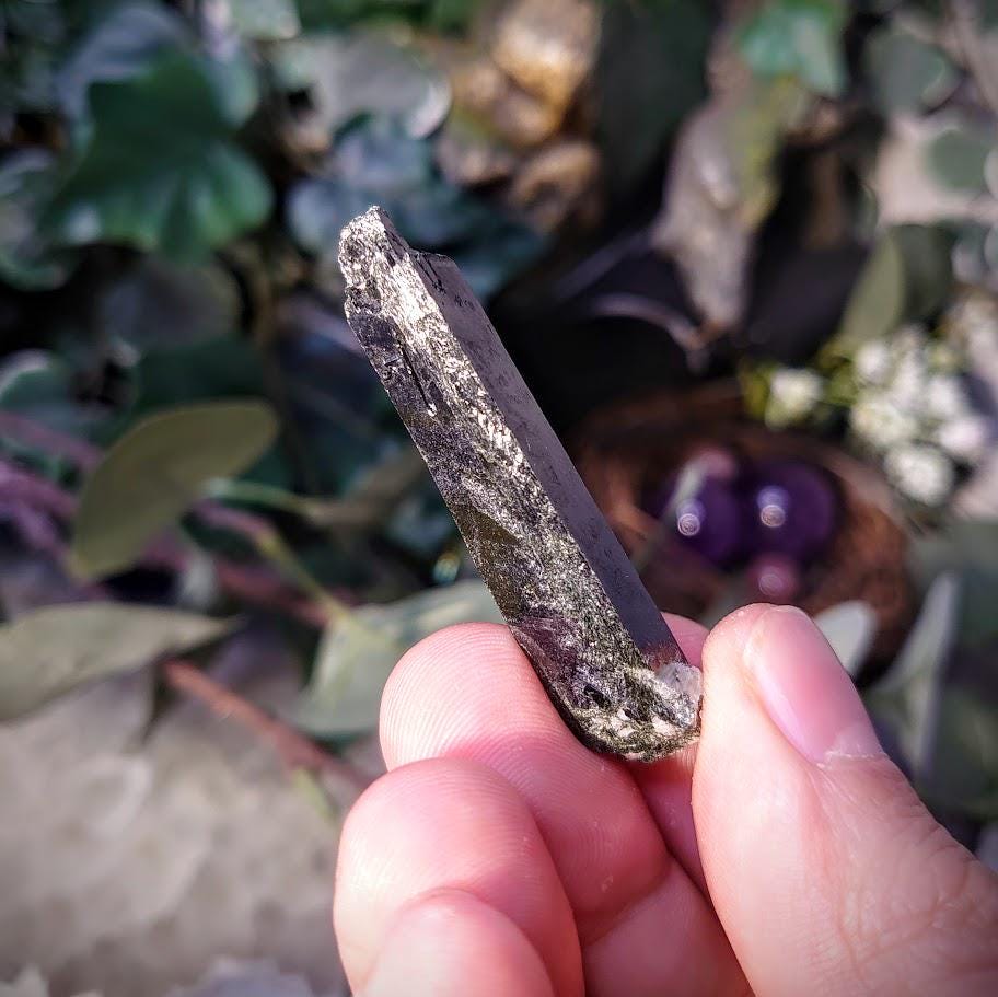 2" Glossy Black Aegirine Crystal Rod from Malawi, Africa for Crystal Healing / 16.37g / Home and Altar Decor / Negative Protection