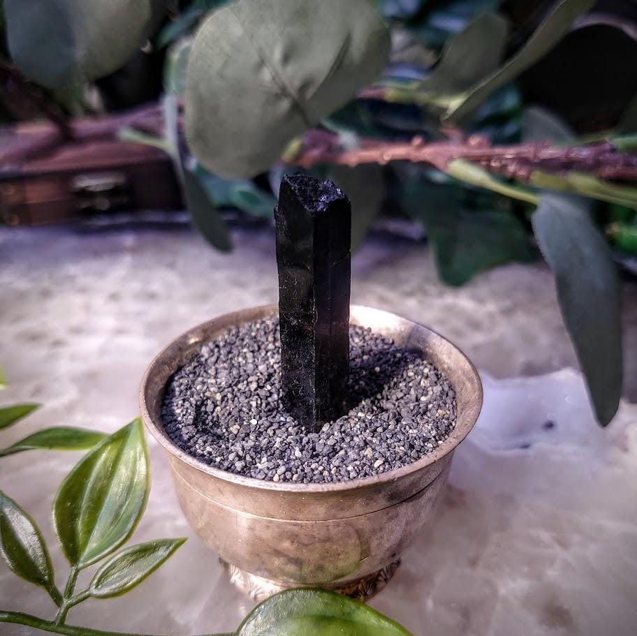 1.75" Glossy Black Aegirine Crystal Rod from Malawi, Africa for Crystal Healing / 9.35g / Home & Altar Decor